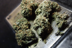 chronic